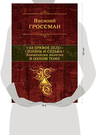 За правое дело.Жизнь и судьба - фото 4
