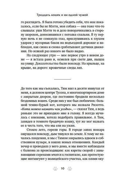 Тридцать кошек и ни одной чужой. Мемуары о жизни, любви и принятии себя - фото 11
