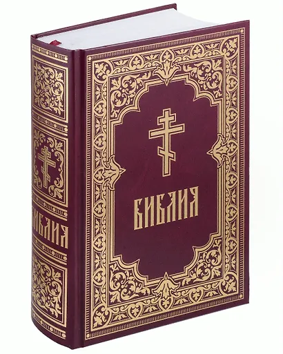 Библия. Книги Священного Писания Ветхого и Нового Завета (с гравюрами Г. Доре и Ю. Шнорр фон Карольсфельда) - фото 1