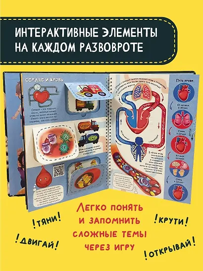 Знакомься: твое тело - фото 4