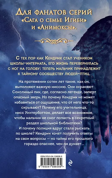 Соколиный пик. Око бури (#3) - фото 2