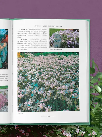 Секреты малоуходного сада. Как создать дизайн участка с неприхотливыми декоративными растениями - фото 8