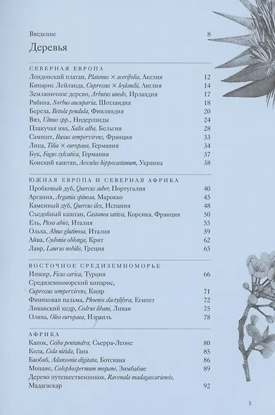 Вокруг света за 80 деревьев - фото 4