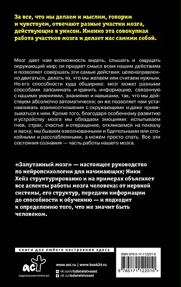 Запутанный мозг. Путеводитель по нейропсихологии - фото 2