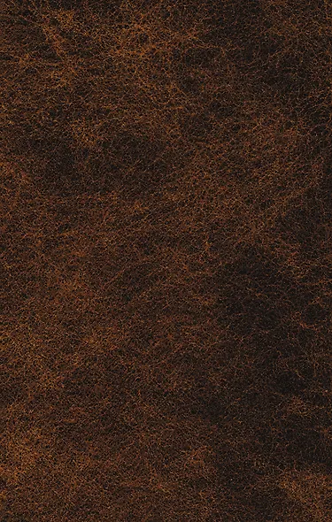 Прокляты и убиты - фото 2