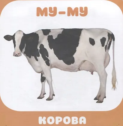 Малышарики. Курс раннего развития 0+. Домашние животные - фото 5