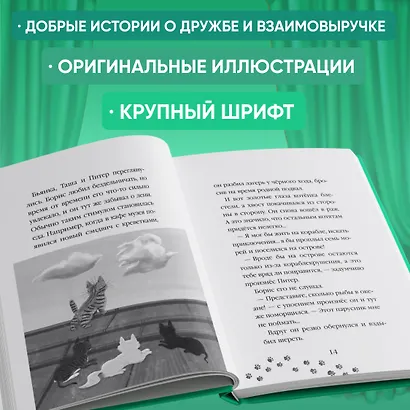 Тайный дневник кота Бориса - фото 5