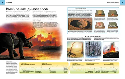 Динозавры. Иллюстрированный атлас - фото 10