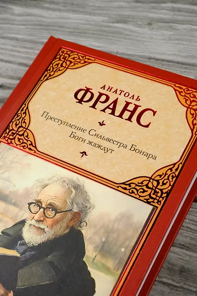 Преступление Сильвестра Бонара. Боги жаждут - фото 6