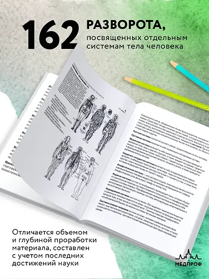 Анатомия человека: атлас-раскраска. 4 -е изд. - фото 6