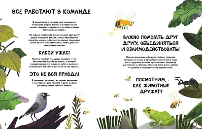 Вместе лучше! Командная работа в мире животных - фото 10