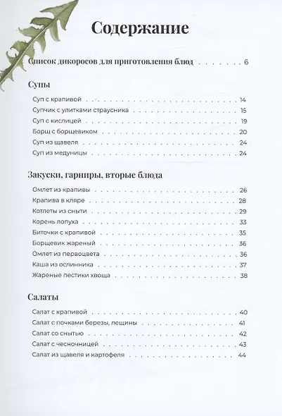 Блюда из дикорастущих растений - фото 2