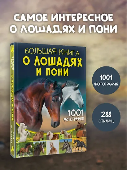 Большая книга о лошадях и пони. 1001 фотография - фото 4
