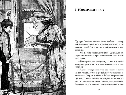 Племя Зипполи - фото 4