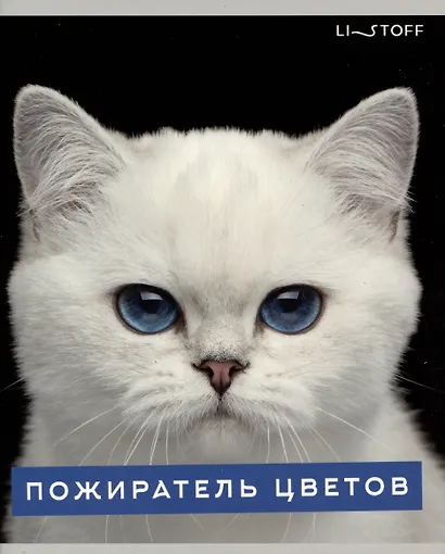 Тетрадь А5 96л кл. "Характер котика" скрепка, мелов.картон, глянц.ламинация, термопленка, офсет, 5 видов - фото 4