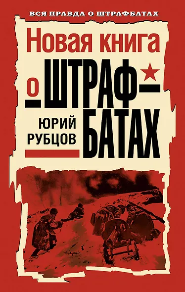Новая книга о штрафбатах - фото 1