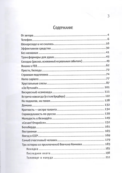 "За Путина!" Рассказы - фото 2