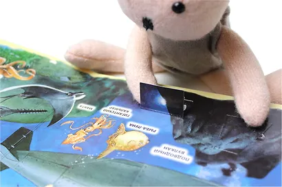 На море. Виммельбух - фото 11