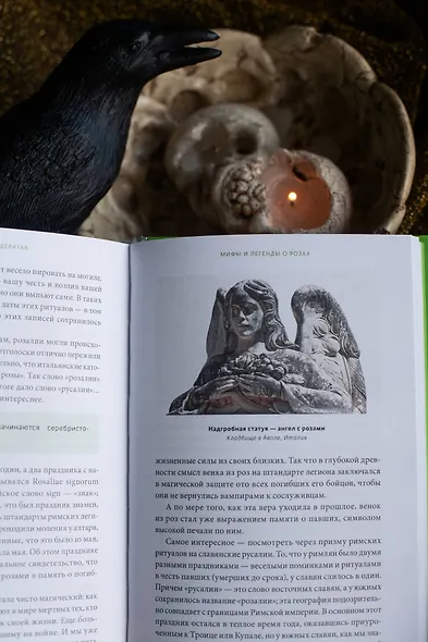 Зачарованный сад. Майское дерево, цветок папоротника и другие легенды о растениях - фото 13