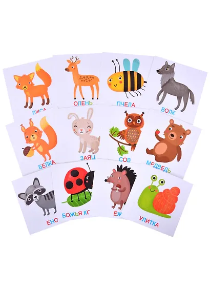 Развивающие карточки для детей "Лесные животные" - фото 2