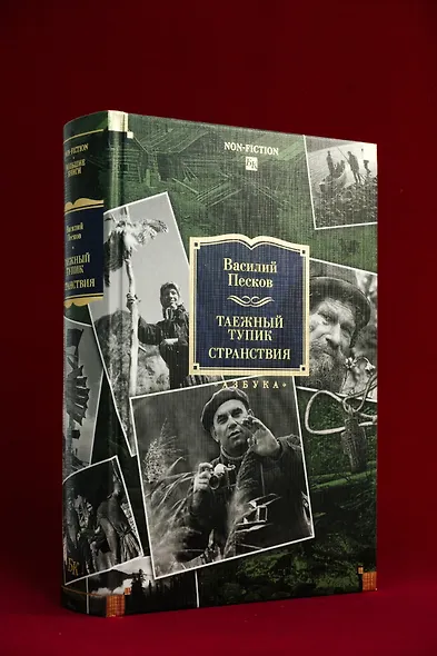 Таежный тупик. Странствия - фото 8