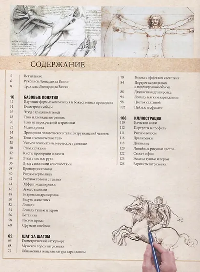 Рисуем с Леонардо да Винчи. Секреты великого мастера - фото 6