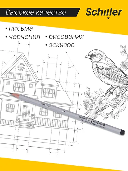 Карандаши чернографитные 12 штук "Week", в ассортименте, Schiller - фото 3