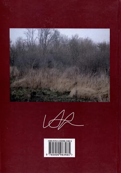 Строфы не то, чем кажутся - фото 2