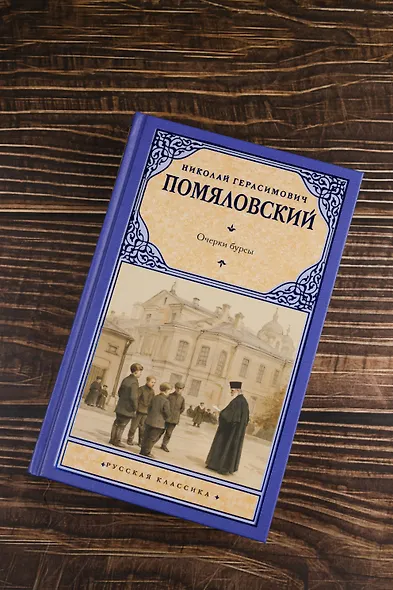 Очерки бурсы - фото 5