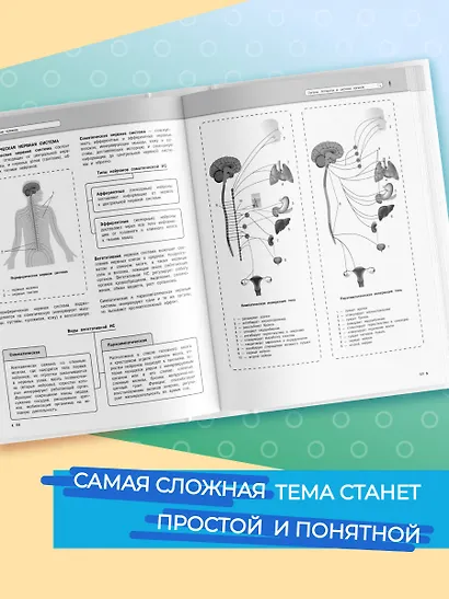Подготовка к урокам, ОГЭ и ЕГЭ. Биология. Наглядный школьный курс - фото 5