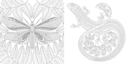 Божественные создания. Золотая коллекция любимых иллюстраций - фото 4