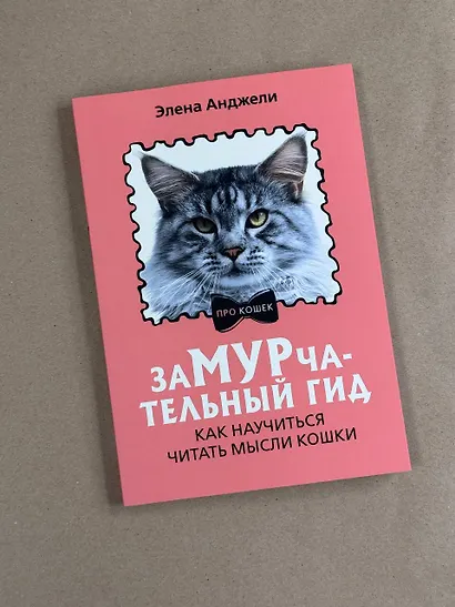 ЗаМУРчательный гид. Как научиться читать мысли кошки - фото 4