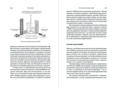 Тестостерон: гормон, который разделяет и властвует - фото 5