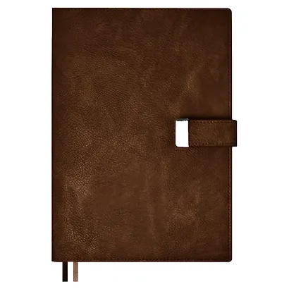 Ежедневник недат. А5+ 160л 170х245 "Шеврет" бронзовый, иск.кожа, мягкий переплет, съемная обл., офсет, ляссе, подар.карт.коробка - фото 2