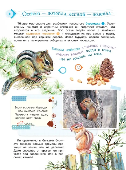 Энциклопедия для мальчиков и девочек. Наша природа - фото 9