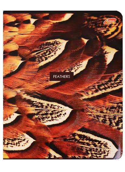 Тетрадь в клетку Academy Style, "Макро", 80 листов, в ассортименте - фото 4