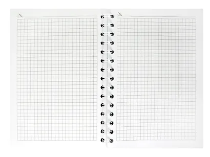 Тетрадь 80л кл. "Гусь-обнимусь" спираль, пласт.обложка - фото 3