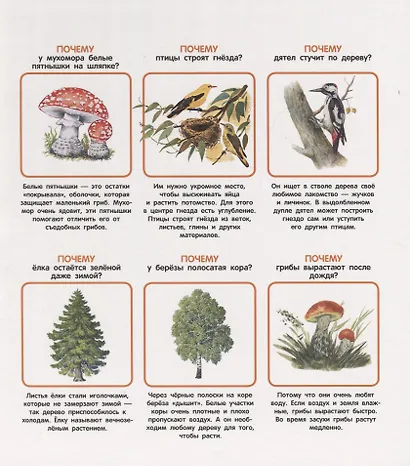 Мои первые ПОЧЕМУ? / Е. Колузаева. - 2019, М. : Стрекоза. - (Энциклопедия малыша). - ISBN 978-5-9951-3865-5 (7Б) - фото 2