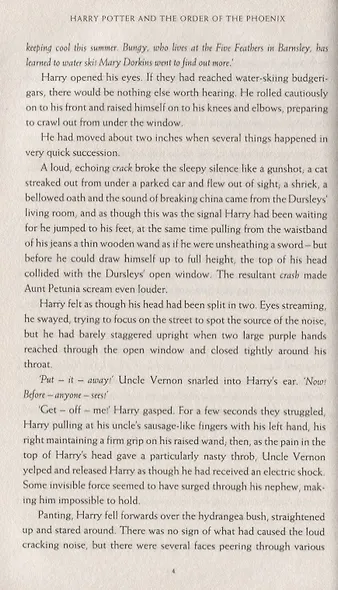 Harry Potter and the Order of the Phoenix - фото 8