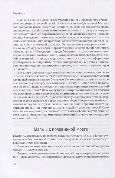 Живой мозг. Удивительные факты о нейропластичности и возможностях мозга - фото 7