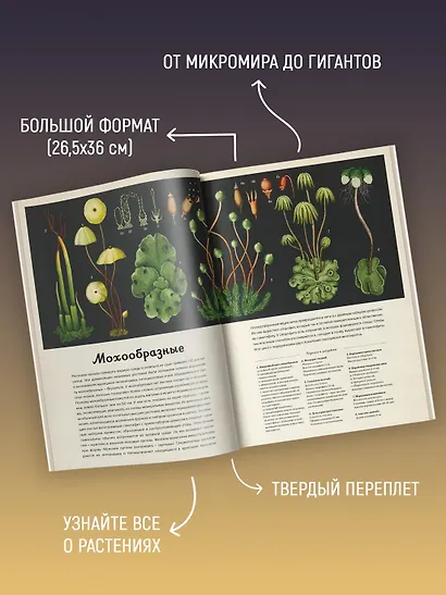 Ботаникум - фото 5