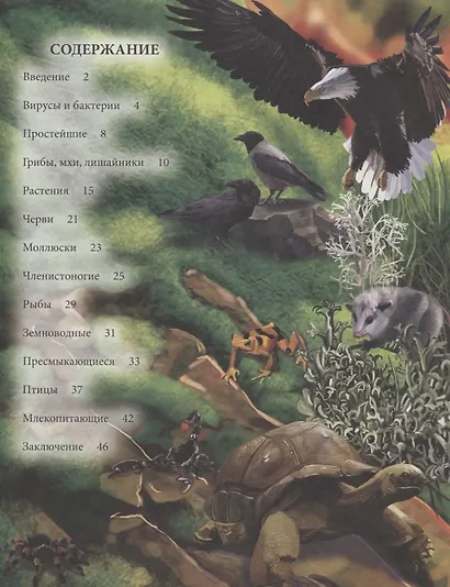Живая природа. Энциклопедия - фото 2