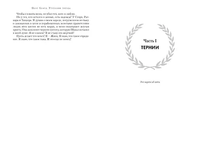 Утренняя звезда - фото 9