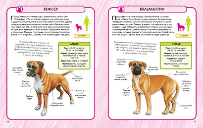 Собаки - фото 8