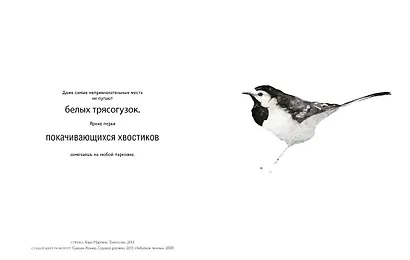 Такие разные ПТИЦЫ в произведениях искусства - фото 6