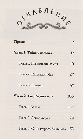 Агент призрака. Книга 2. Чёрная Панна - фото 7