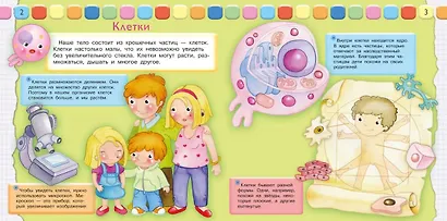 Как мы устроены. Наше тело - фото 3
