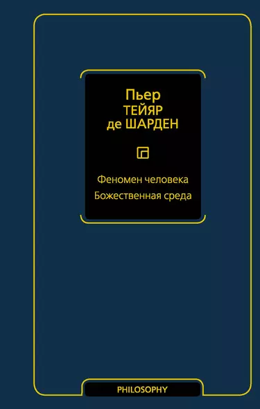 Феномен человека. Божественная среда - фото 1