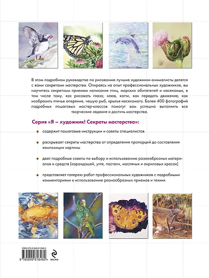 Птицы, рыбы, насекомые. От эскиза до картины - фото 2