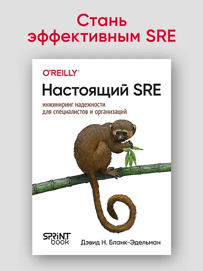 Настоящий SRE: инжиниринг надежности для специалистов и организаций - фото 3